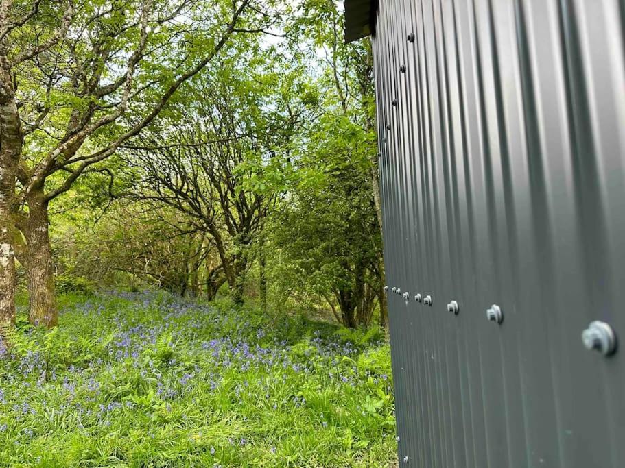 Cornwall Woodland Shepherd'S Hut - Dennis Hut Bodmin Eksteriør billede