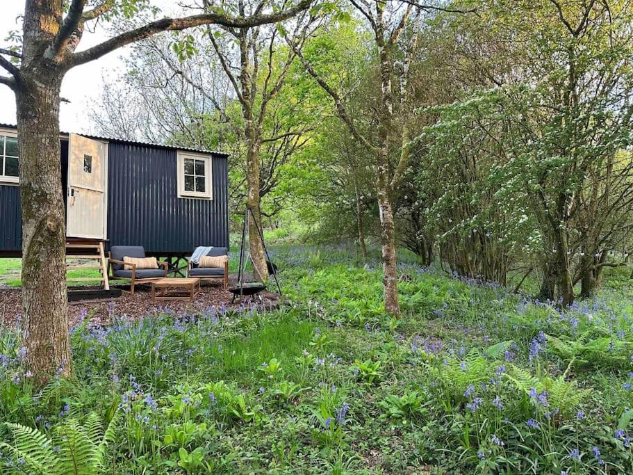 Cornwall Woodland Shepherd'S Hut - Dennis Hut Bodmin Eksteriør billede